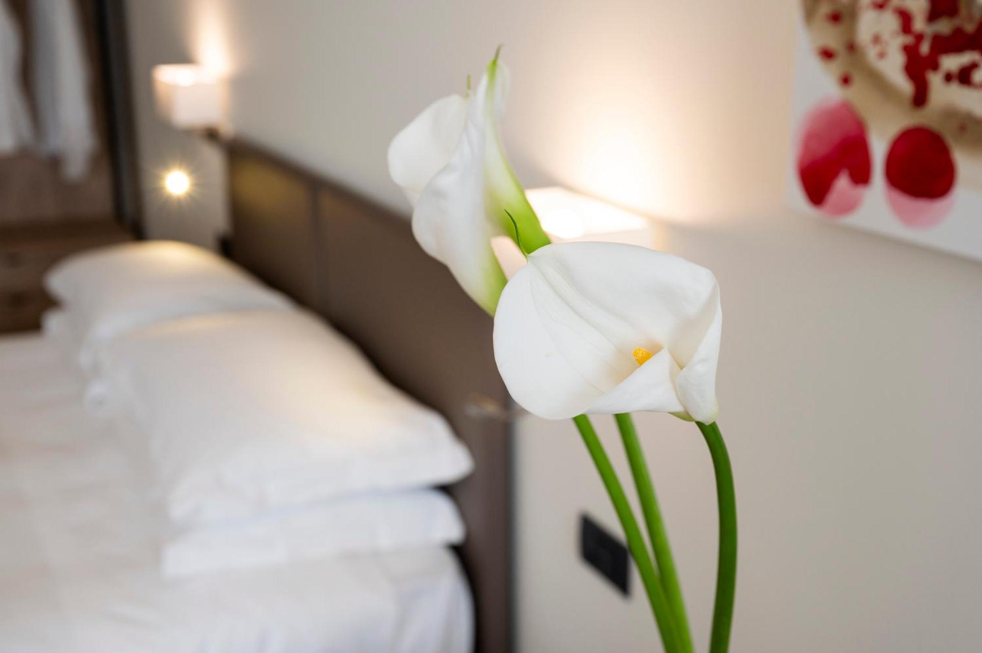 Hotel Plaza San Martino Siccomario Kültér fotó
